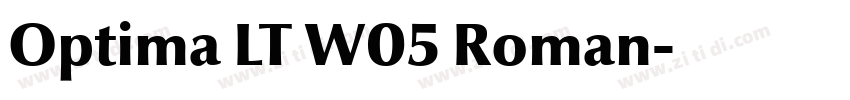 Optima LT W05 Roman字体转换